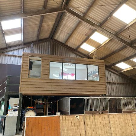 The Horse Farm Bed & Breakfast Garnwerd Ngoại thất bức ảnh